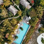 Safari de luxe au Botswana : une expérience inoubliable entre confort et aventure